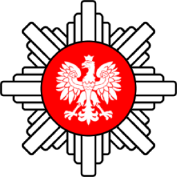 Detektywi